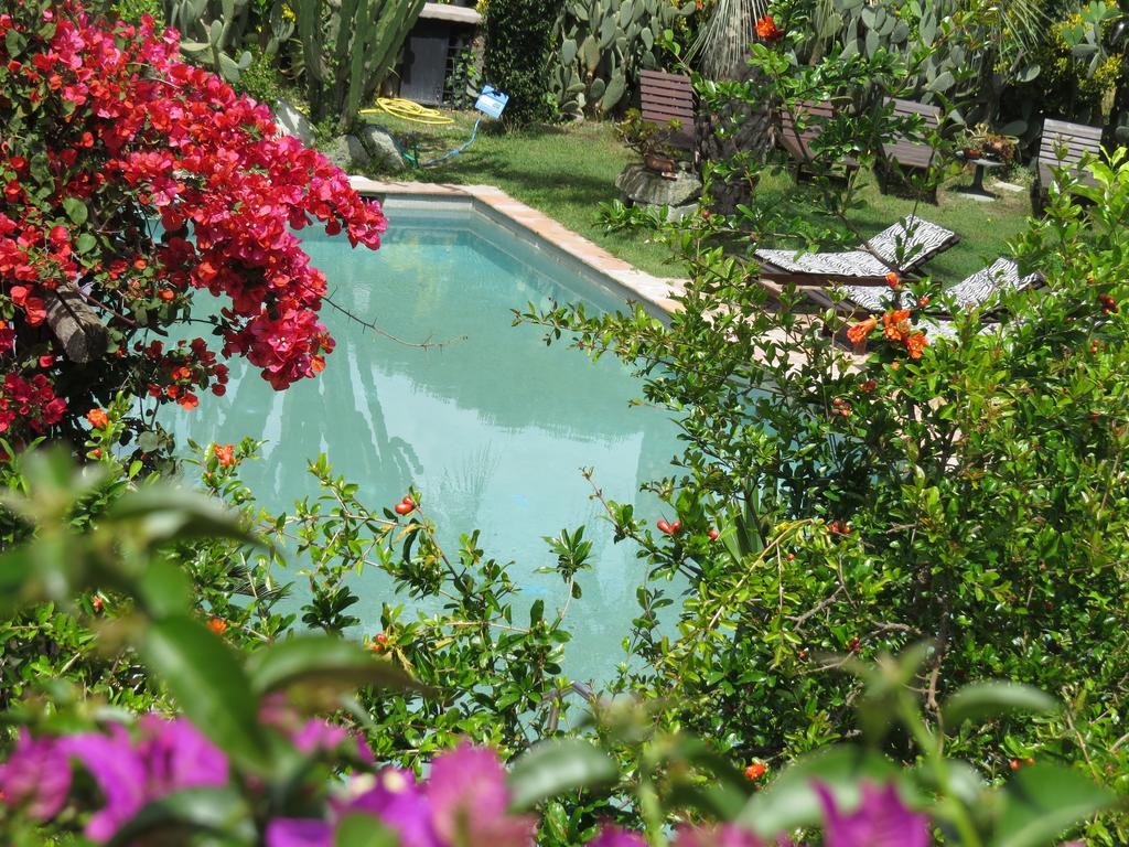 Вилла Casa Vacanze Il Pozzo Искья Экстерьер фото