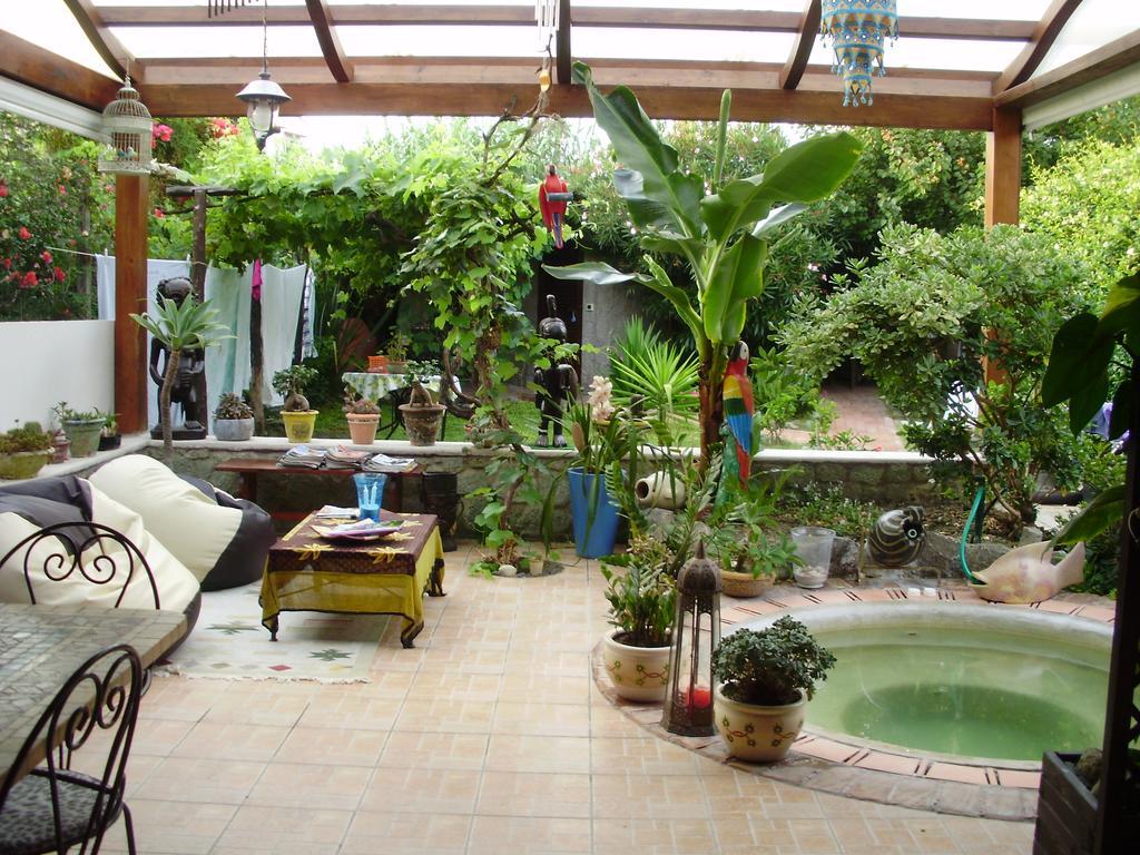 Вилла Casa Vacanze Il Pozzo Искья Экстерьер фото